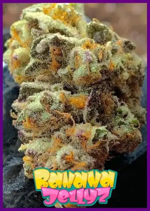 Banana-Jellyz-2-3.webp