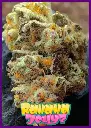 Banana-Jellyz-2-3.webp