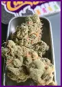 Banana-JellyZ-4-en.webp