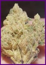 Frozen-cherry-4-1.webp