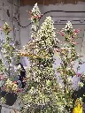 20240323_231914 (1).webp
